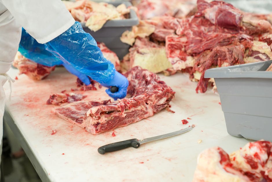 Planning Meals: How to Use Whole Cuts and Minimise Waste